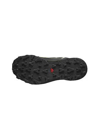 SALOMON | Chaussures de trail running Thundercross GTX pour femmes | schwarz